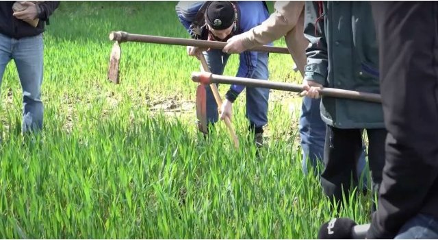 Journée Internationale des Luttes Paysannes 2024 - Aftermovie