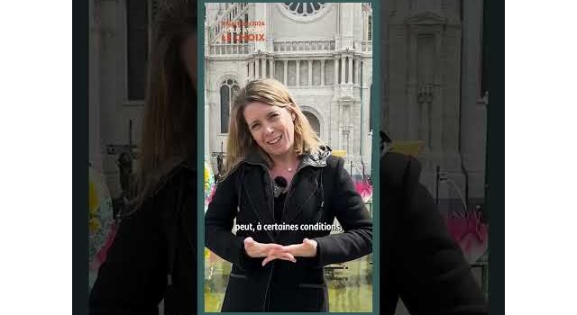 Elections 2024 : Quel est l'impact de l'accord commercial UE-Mercosur ?