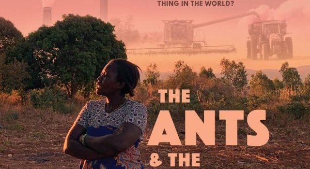 Les fourmis et la sauterelle | bande-annonce