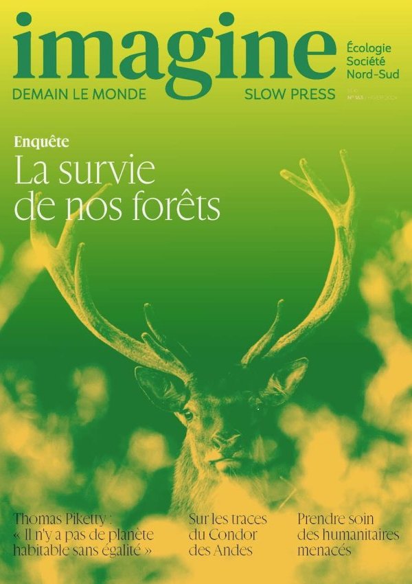 Imagine demain le monde n°163. La survie de nos forêts