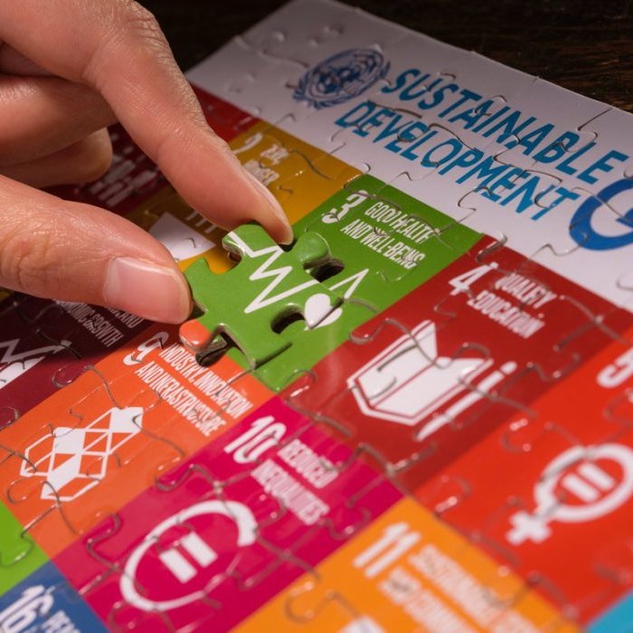 Les Objectifs du développement durable