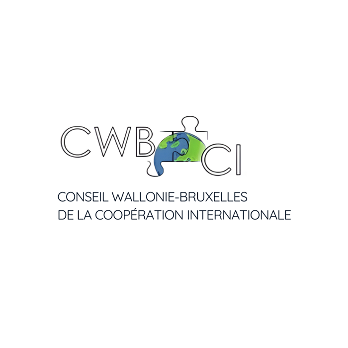 Conseil Wallonie-Bruxelles de la coopération internationale (CWBCI)