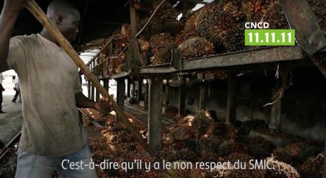 Feronia ou les errements de coopération belge