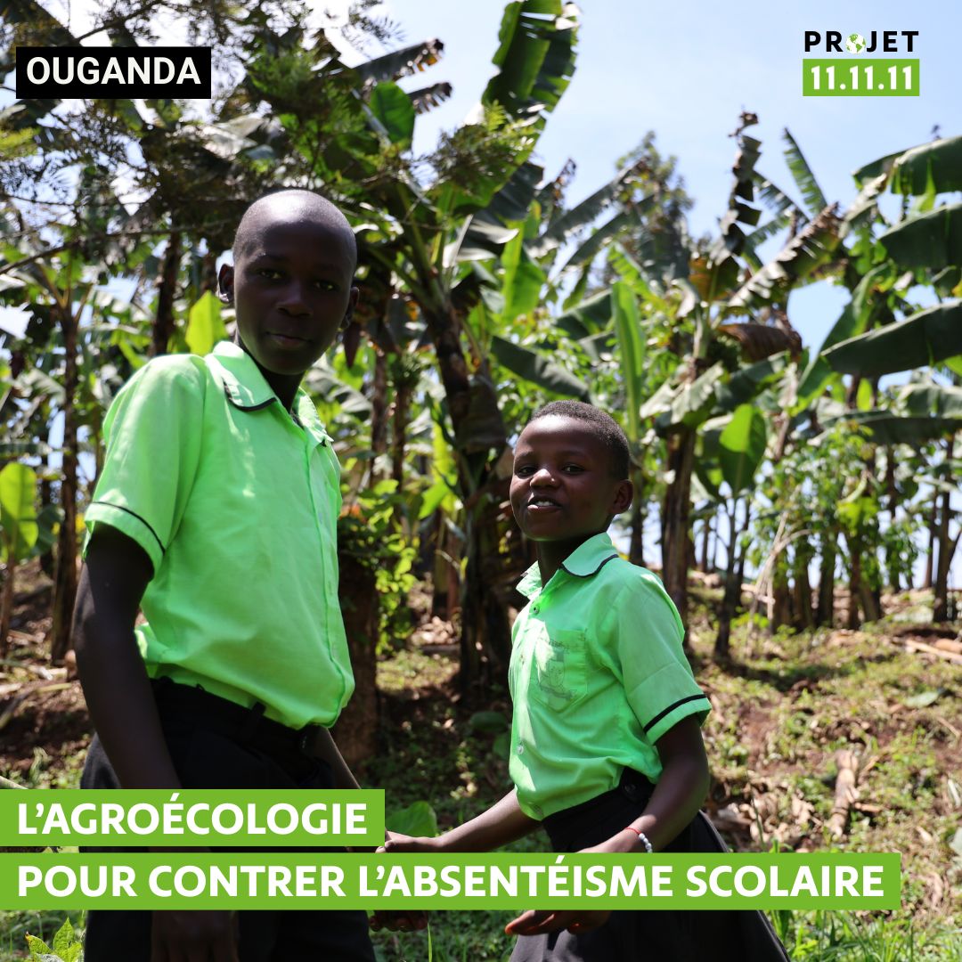 Ouganda : l'agroécologie pour contrer l'absentéisme scolaire