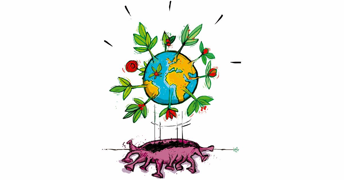 La reconstruction écologique et sociale post-Covid