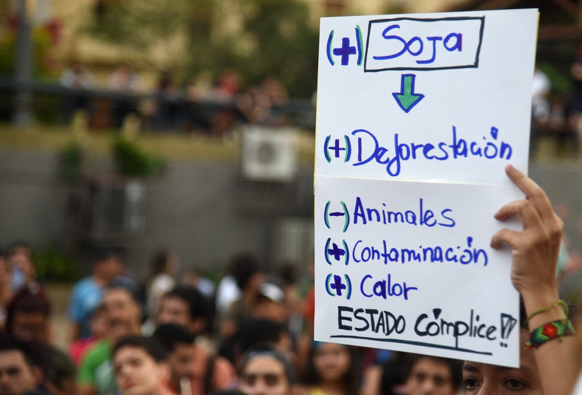 Un manifestant tient une pancarte lors d'une manifestation contre la déforestation de la région du Chaco, à Asuncion, au Paraguay, le 11 janvier 2019. 