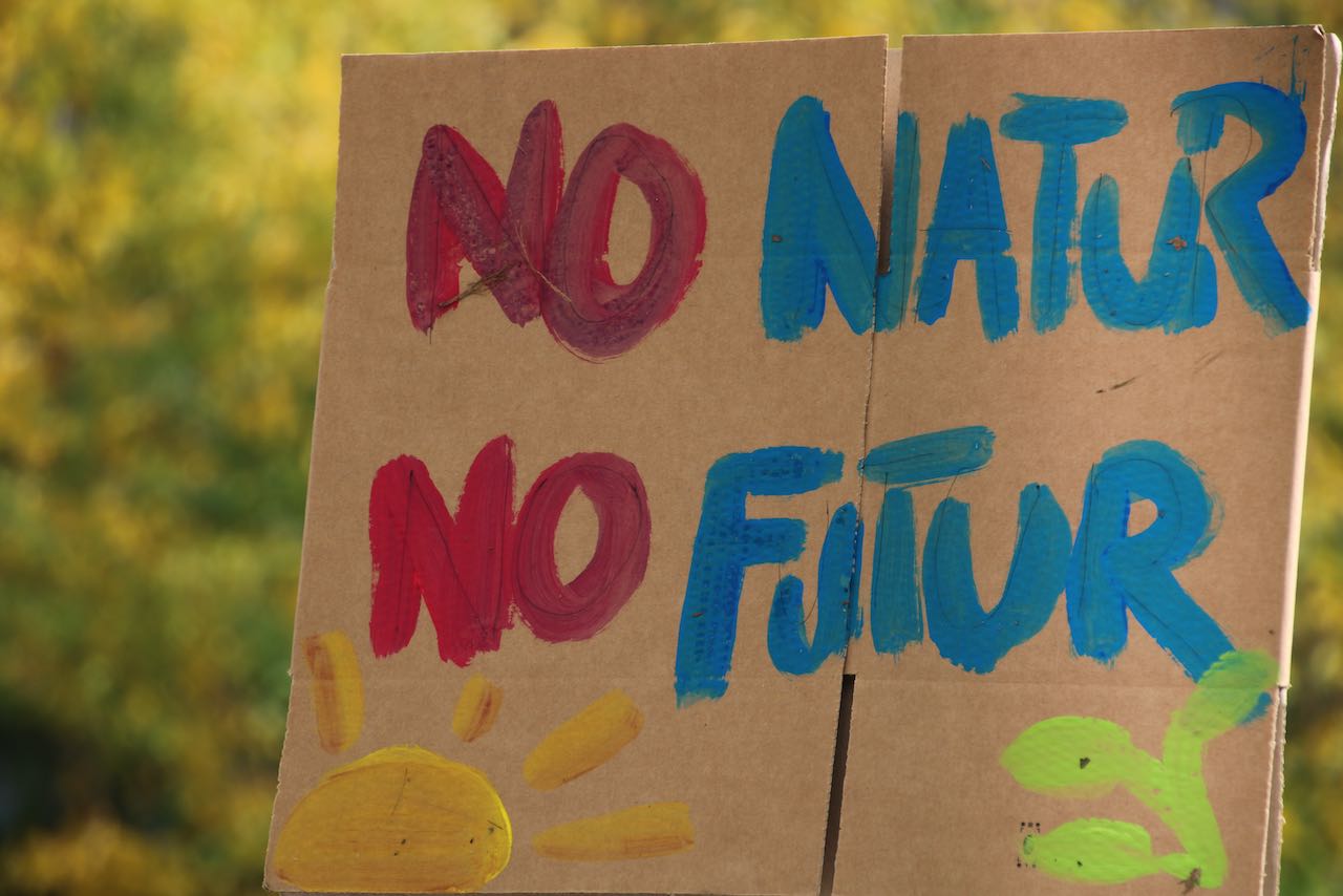 #BackToTheClimate. Marche pour le climat, Bruxelles 10 octobre 2021