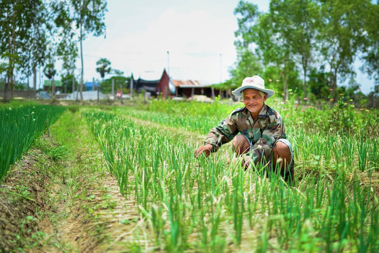 Un revenu décent pour les riziculteurs cambodgiens