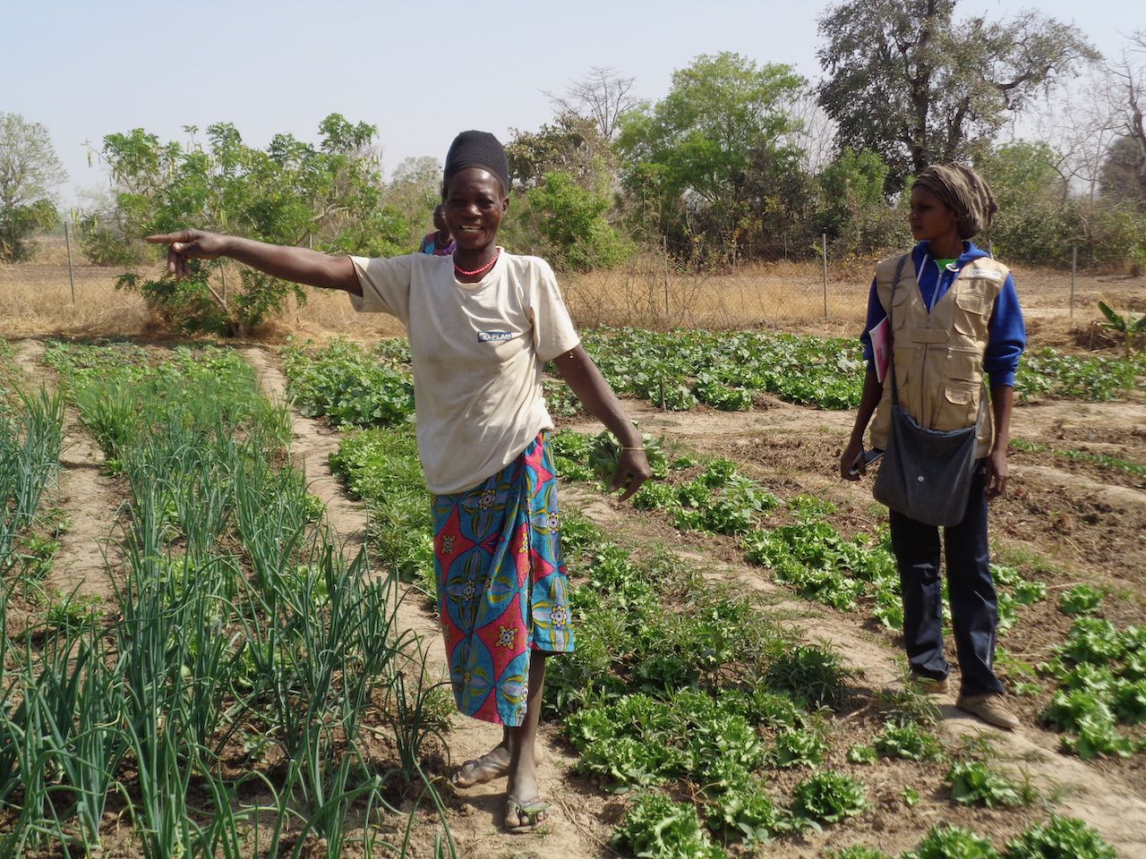 Au nord du Bénin, la lutte contre la pauvreté et la faim porte ses fruits !
