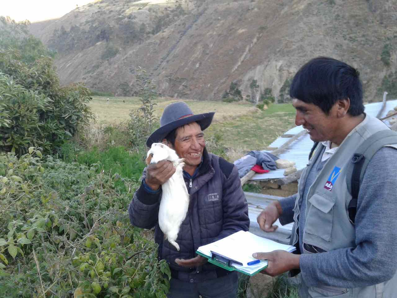 Pérou. Un promoteur local en visite d'appui chez un éleveur de cochons d'Inde