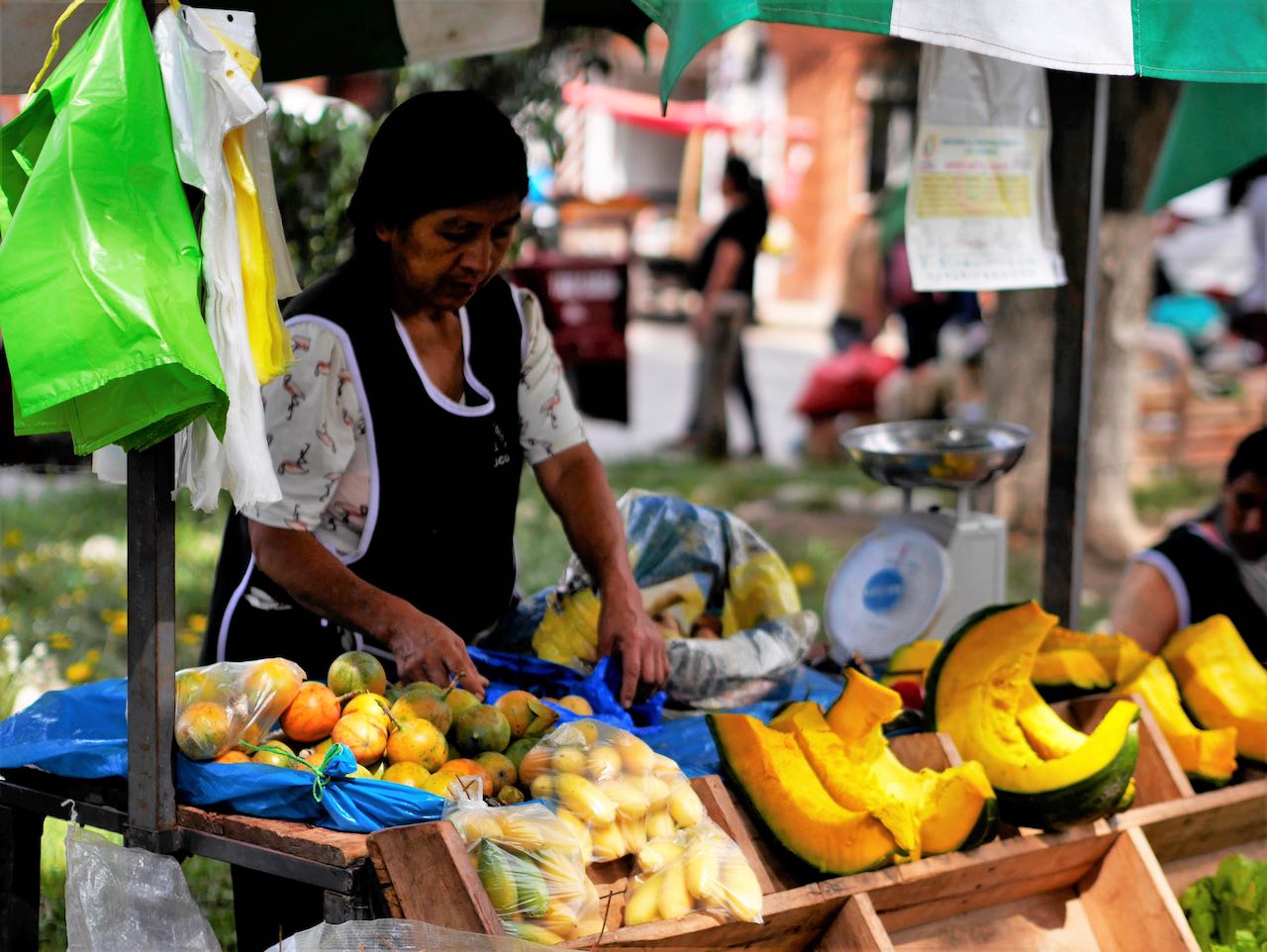 Pérou : soutenir l'agriculture familiale durable