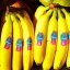 Les bananes au goût de sang : comment Chiquita a alimenté le conflit armé en...